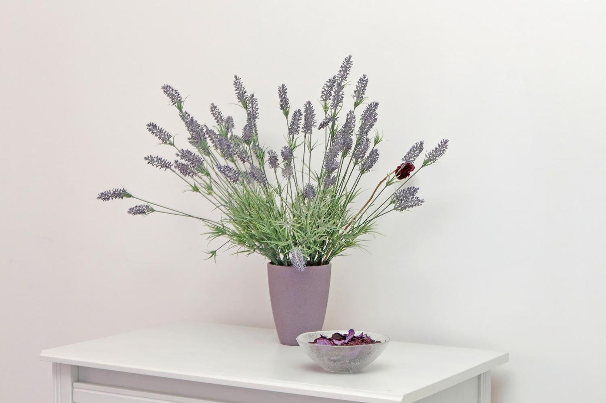 Victoria Apartment Roma Dış mekan fotoğraf